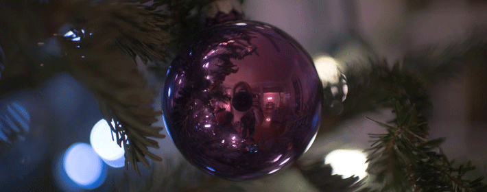 風水魚死了之後如何處理?