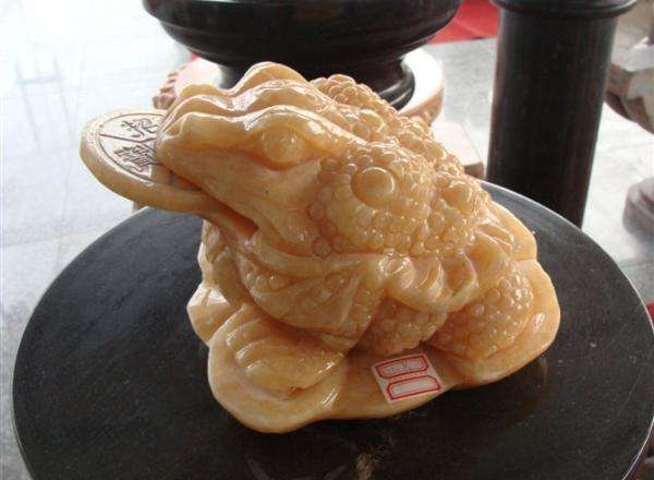 店鋪金蟾的擺放在什麼位置才是最好的？