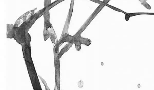 客廳掛什麼風水畫