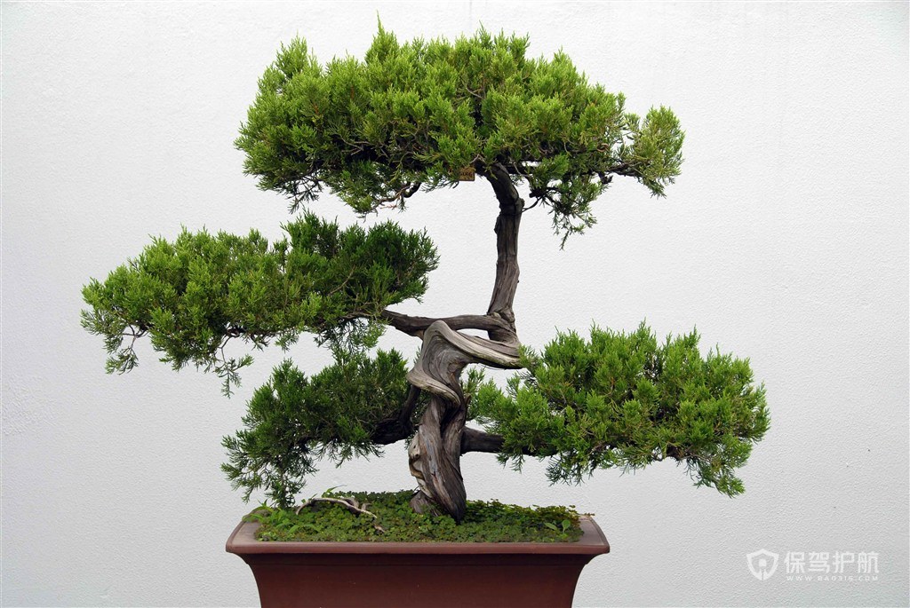 客廳電視櫃擺件擺什麼吉祥物