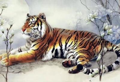 猛虎下山風水出什麼人才 哪些風水寶地出大官