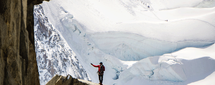 屬雞的家裡養什麼樣子的風水魚好?