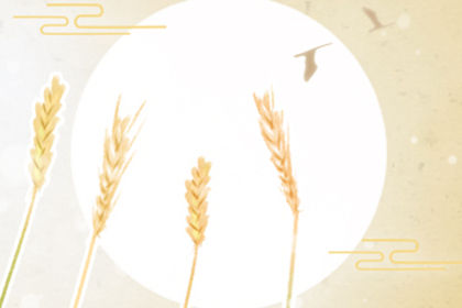 若想新年發達，先從改造大門做起