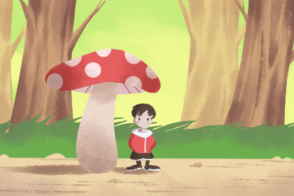 為何鞋子不能亂放而要放入鞋櫃