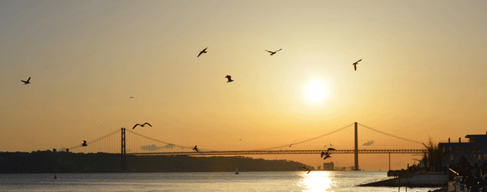 2016年招財的方法有哪些