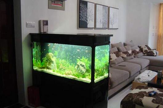 必知的客廳魚缸擺放風水