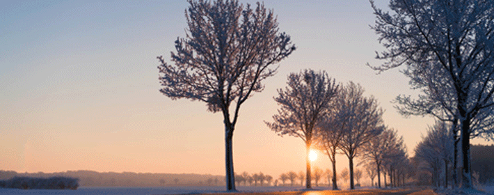 風水魚有哪些種類常識?