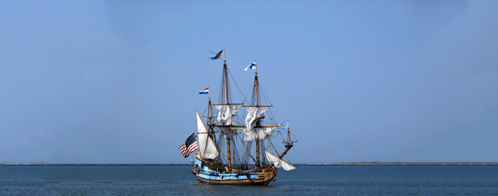 辦公室風水植物擺放與五行