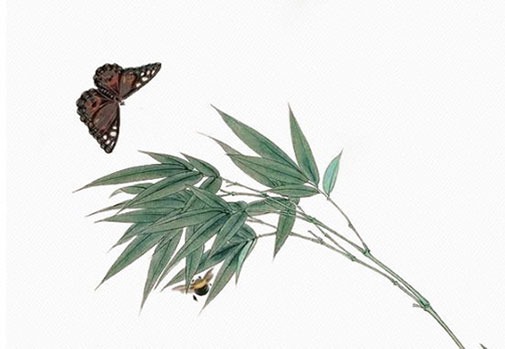 木命手機號吉利數字 加旺運勢的吉利手機號碼