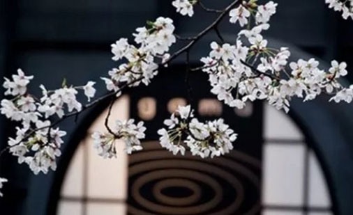 什麼時辰女註定嫁真愛 亥時生女註定嫁優質老公