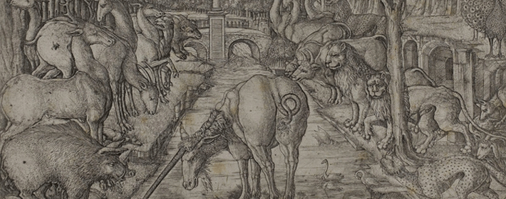 客廳擺放茶幾風水事宜