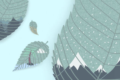 最適合擺放的綠色室內植物