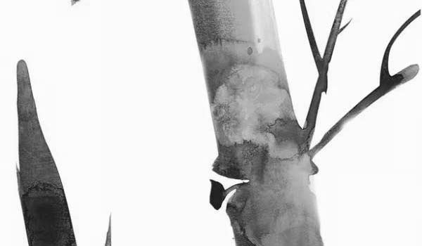 進門見沙發是大忌