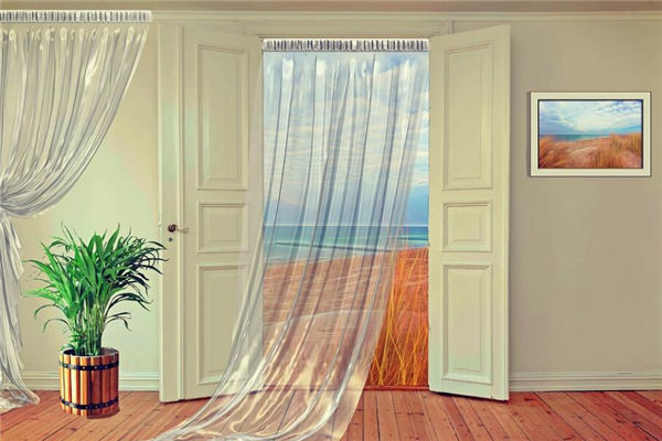 綠植擺放的風水禁忌