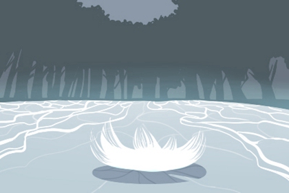 屬兔人的辦公室財位在什麼地方 辦公室招財的布局