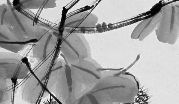 客廳擺什麼旺財鎮宅