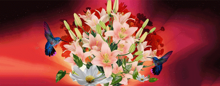 卧室這些禁忌千萬別犯啦！