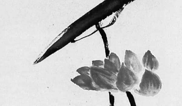 客廳吃飯桌子擺設風水