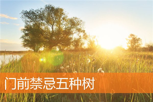 門前禁忌五種樹