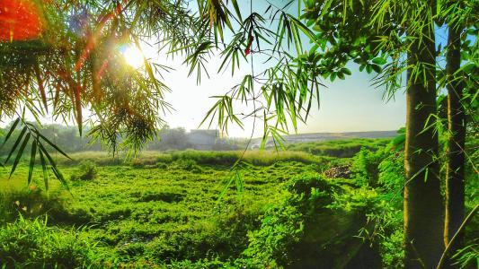 有哪些招財擺件適合放在公司的會議室