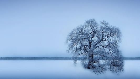 農村房屋風水解析