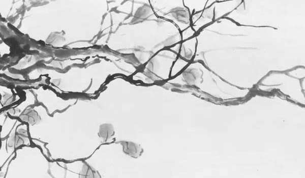 客廳擺什麼旺財鎮宅