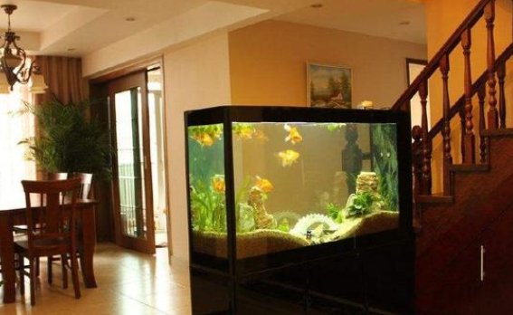 客廳魚缸的最佳擺放圖