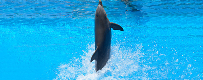 長輩催婚？你知道這些阻礙婚戀