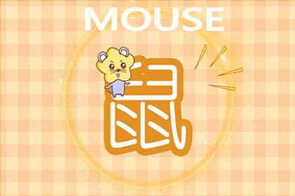 屬鼠的財運在哪個方向?五鬼位不可碰