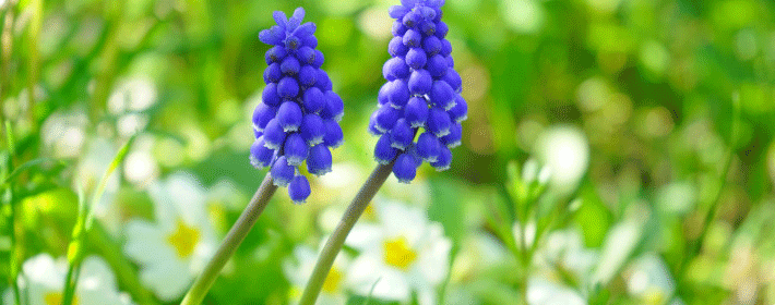 左鄰右舍對家居風水有哪些影響?