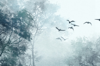 生意不順怎麼改風水  安裝吊頂遮擋