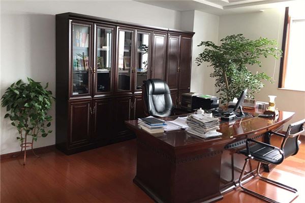 辦公室擺放風水花卉的