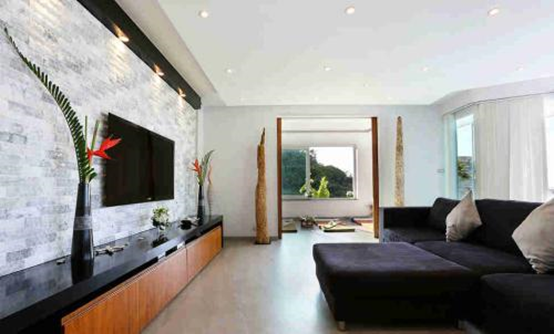 客廳電視兩邊擺什麼植物旺財