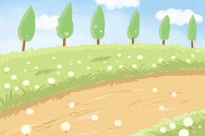 植物風水說:發財樹放辦公桌好不好