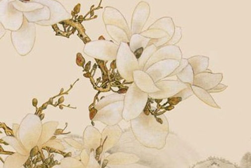 車牌3個333車號值錢嗎 旺財車牌號尾數號碼