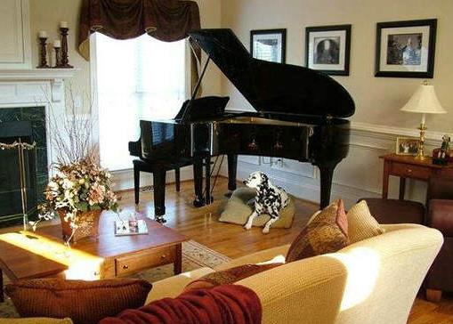 客廳風水如何催財運呢