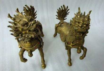 麒麟植物風水作用是什麼？擺在哪裡比較好？