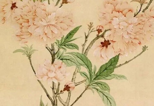 6個財運密碼組合 財運亨通的手機號碼