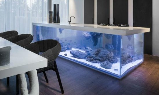 魚缸應該擺在客廳的什麼位置合適