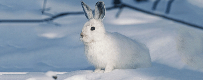 影響家居風水的細節有哪些