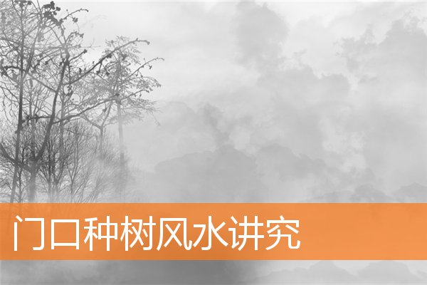 門口種樹風水講究