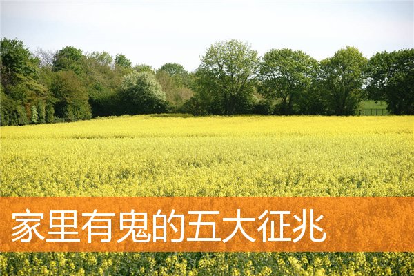 家裡有鬼的五大徵兆