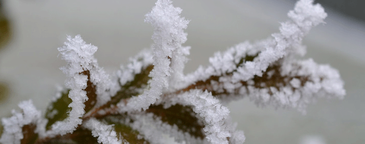 錢包的顏色上有什麼風水講究