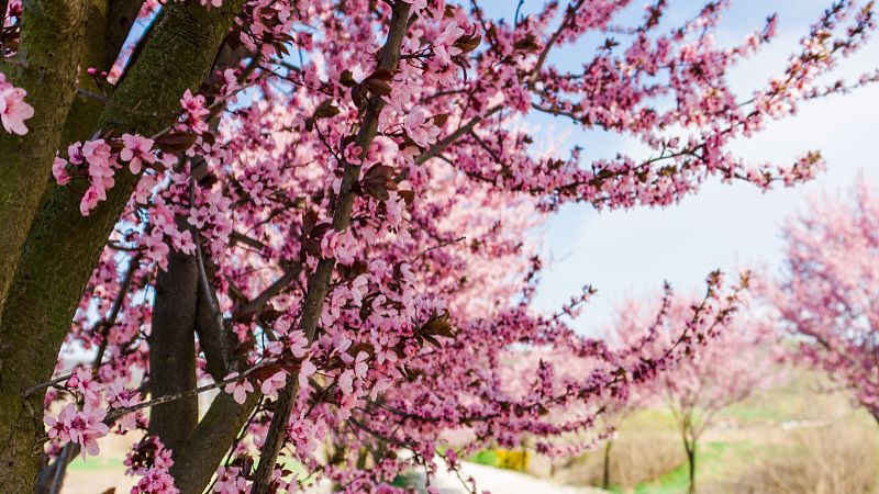 家裡大難前的預兆 家裡要發生大事了