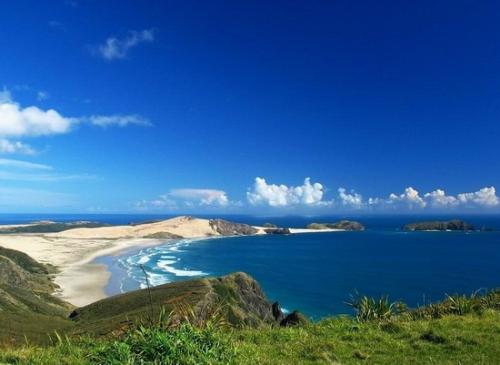 綠蘿會招鬼嗎？一顆綠蘿七個鬼是什麼意思？