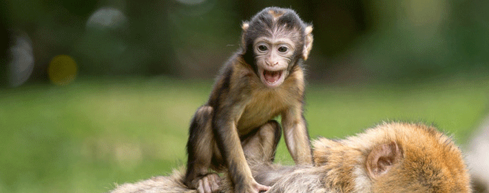 家居裝修風水十大禁忌