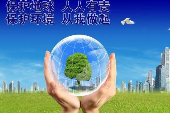 什麼植物凈化空氣最好