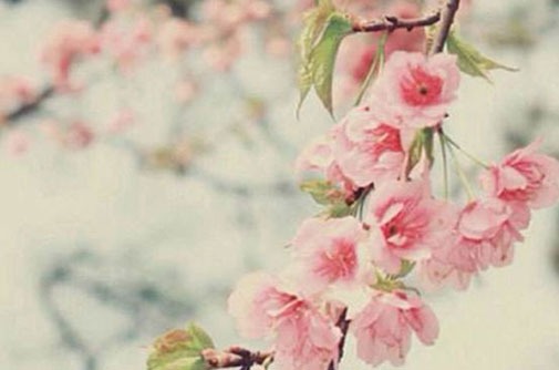 屬羊女手機號最吉利的數字是什麼 帶財的熱門號碼