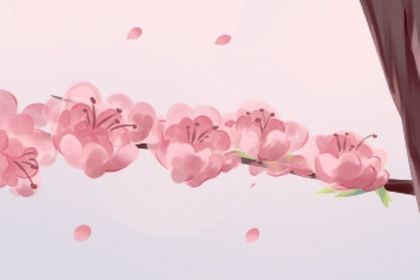 床底下放一樣東西招桃花 收穫愛情的妙招