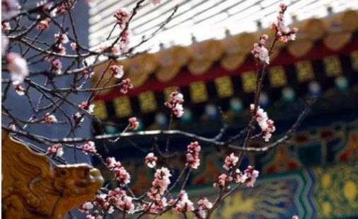 越來越漂亮的時辰女 這三個時辰生的都是美女